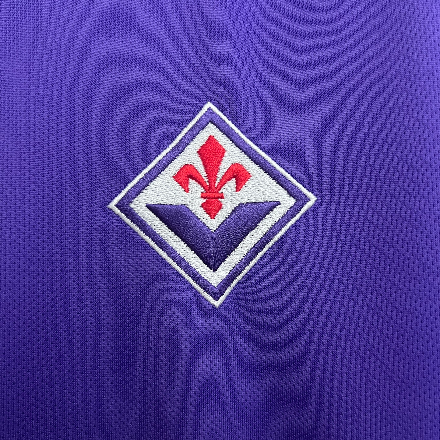 Fiorentina 25/26