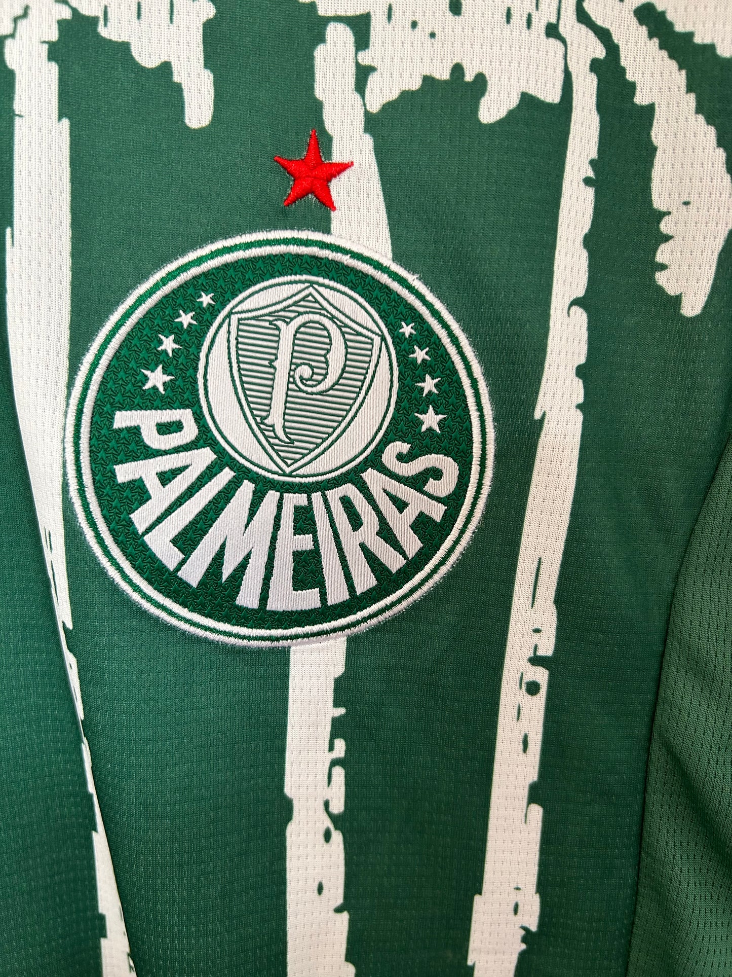 Palmeiras 25/26