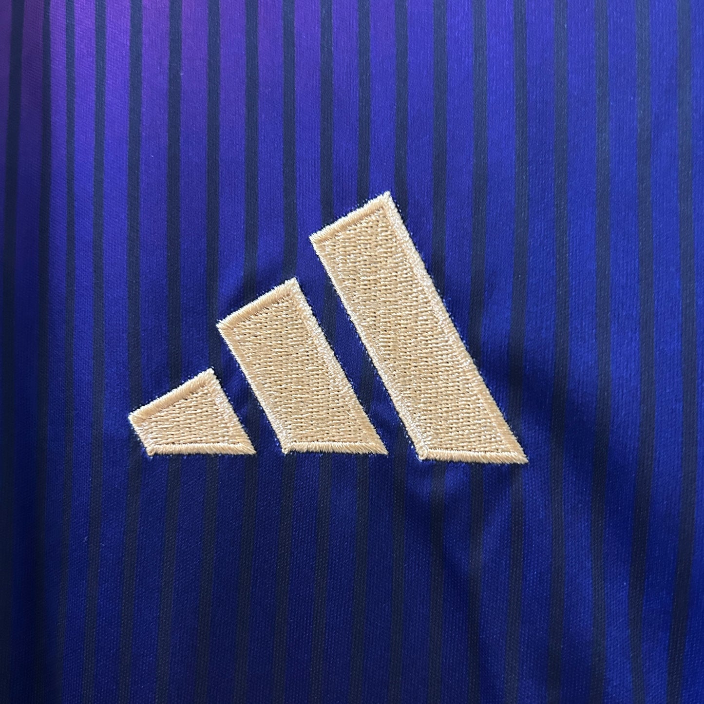 Angeles Galaxy 25/26